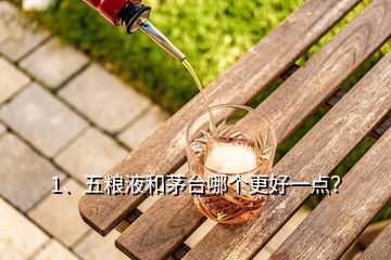 1、五糧液和茅臺(tái)哪個(gè)更好一點(diǎn)？