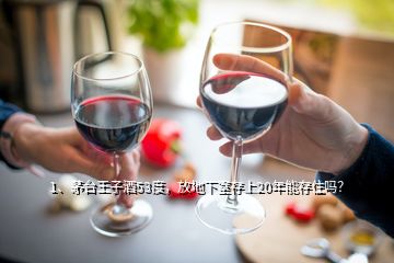 1、茅臺王子酒53度，放地下室存上20年能存住嗎？