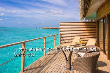 3、為什么茅臺鎮(zhèn)的白酒被一些人稱為醬香型白酒？醬香型是什么意思？