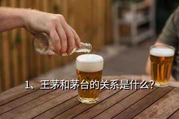 1、王茅和茅臺(tái)的關(guān)系是什么？