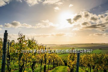 2、2019年茅臺豬年生肖酒的價格會超過馬年嗎？