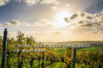 3、請(qǐng)問(wèn)市場(chǎng)上到底有多少款真正和飛天茅臺(tái)口感接近的白酒？最接近的是哪種？