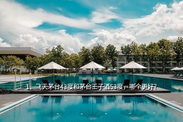 1、飛天茅臺(tái)43度和茅臺(tái)王子酒53度，哪個(gè)更好？