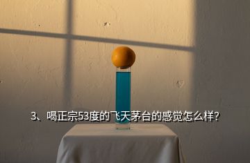 3、喝正宗53度的飛天茅臺的感覺怎么樣？