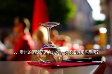 3、貴州的酒除了茅臺以外，你還知道哪些品牌？