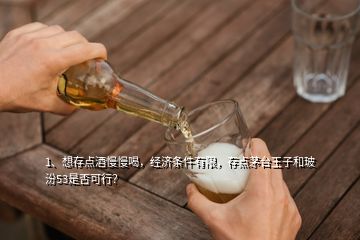 1、想存點酒慢慢喝，經(jīng)濟(jì)條件有限，存點茅臺王子和玻汾53是否可行？