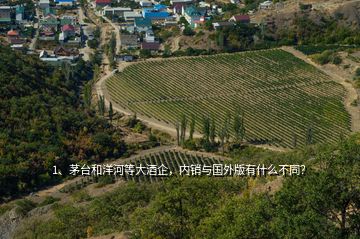 1、茅臺(tái)和洋河等大酒企，內(nèi)銷與國(guó)外版有什么不同？