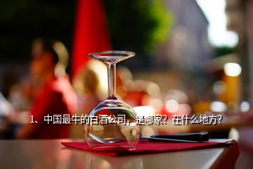 1、中國(guó)最牛的白酒公司，是哪家？在什么地方？