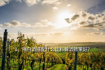 1、喝白酒搭配什么飲料解酒效果好？