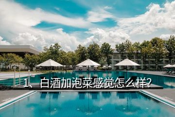 1、白酒加泡菜感覺(jué)怎么樣？