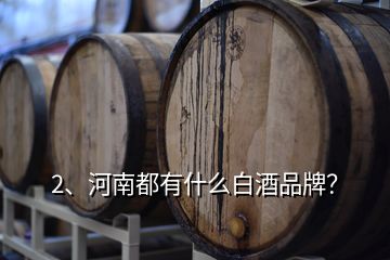 2、河南都有什么白酒品牌？