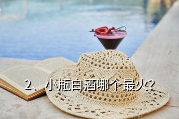 2、小瓶白酒哪個(gè)最火？