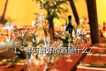 1、洋河最好的酒是什么？