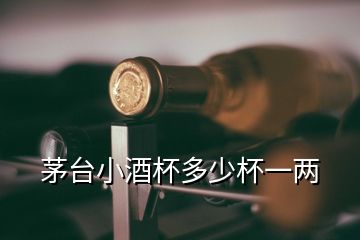 茅臺(tái)小酒杯多少杯一兩