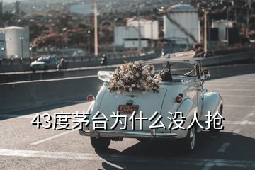 43度茅臺為什么沒人搶