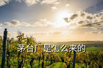 茅臺廠是怎么來的