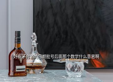 好啊茅臺(tái)酒的日期批號(hào)后面那個(gè)數(shù)學(xué)什么意思啊