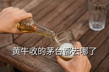 黃牛收的茅臺都去哪了