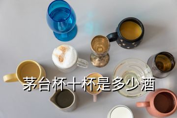 茅臺杯十杯是多少酒