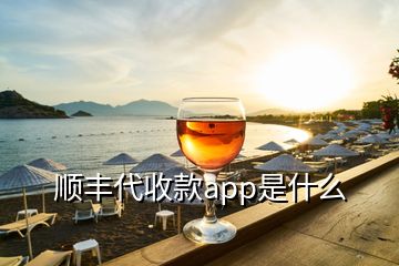 順豐代收款app是什么