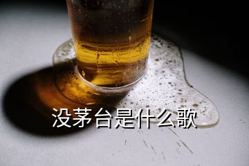 沒茅臺是什么歌