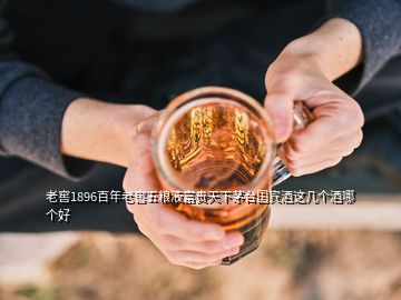 老窖1896百年老窖五糧液富貴天下茅臺國賓酒這幾個酒哪個好