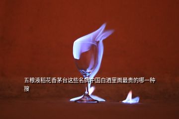 五糧液稻花香茅臺這些名牌中國白酒里面最貴的哪一種  搜