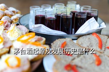 茅臺(tái)酒起源及發(fā)展歷史是什么