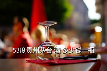 53度貴州茅臺(tái) 酒 多少錢一瓶