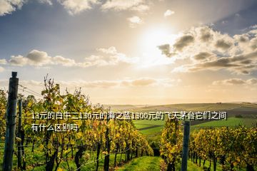 13元的白牛二130元的海之藍(lán)1300元的飛天茅臺(tái)它們之間有什么區(qū)別嗎