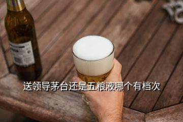 送領(lǐng)導(dǎo)茅臺(tái)還是五糧液哪個(gè)有檔次