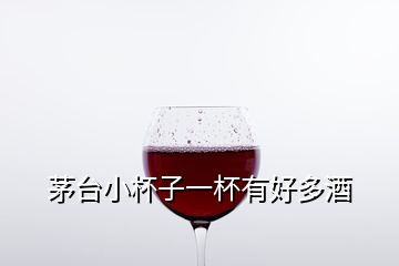 茅臺(tái)小杯子一杯有好多酒