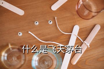 什么是飛天茅臺