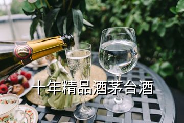 十年精品酒茅臺酒