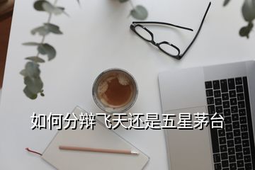 如何分辯飛天還是五星茅臺