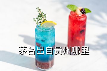 茅臺(tái)出自貴州哪里