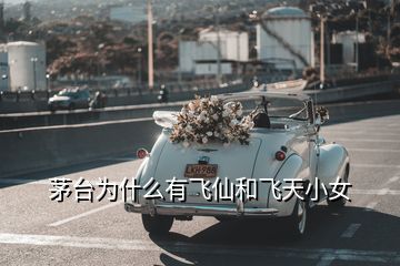 茅臺(tái)為什么有飛仙和飛天小女