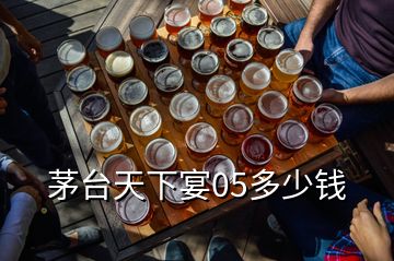 茅臺天下宴05多少錢