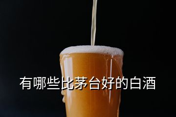 有哪些比茅臺好的白酒