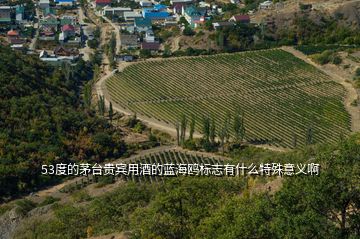 53度的茅臺(tái)貴賓用酒的藍(lán)海鷗標(biāo)志有什么特殊意義啊