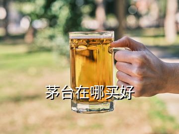 茅臺(tái)在哪買好