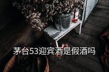 茅臺(tái)53迎賓酒是假酒嗎