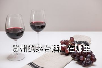 貴州的茅臺酒廠在哪里