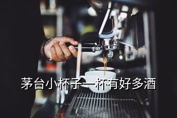 茅臺(tái)小杯子一杯有好多酒