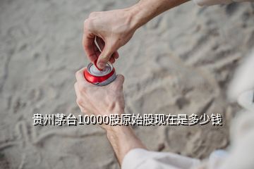 貴州茅臺(tái)10000股原始股現(xiàn)在是多少錢