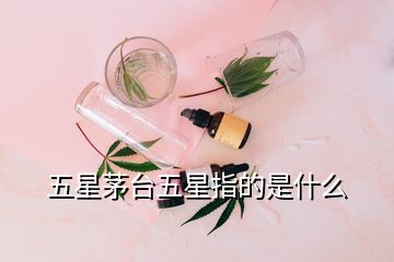 五星茅臺五星指的是什么