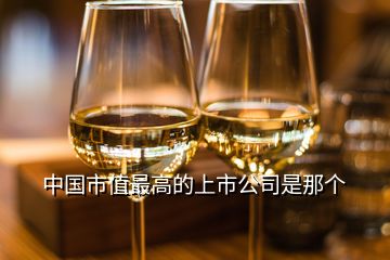 中國市值最高的上市公司是那個(gè)