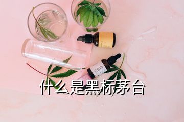 什么是黑標(biāo)茅臺