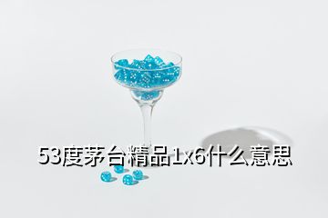 53度茅臺(tái)精品1x6什么意思