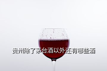 貴州除了茅臺(tái)酒以外還有哪些酒